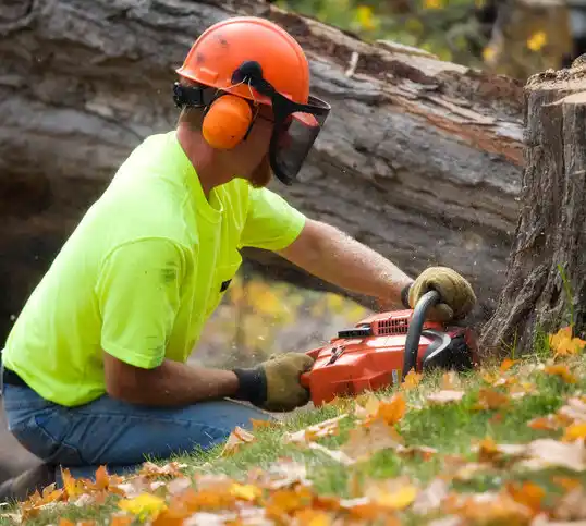 tree services Leonville